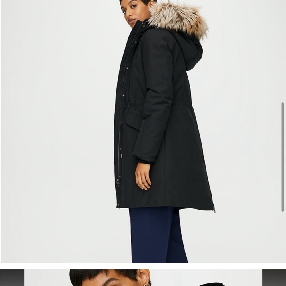 Aritzia Wilfred parka